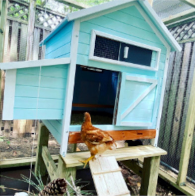 ECOS Pet Dwelling Paints and products - Dog houses, reptile enclosures, bird cages